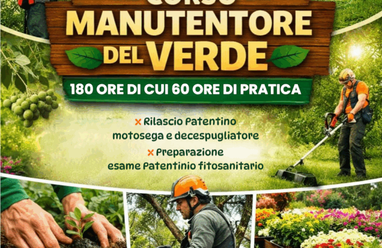 MANUTETORE DEL VERDE